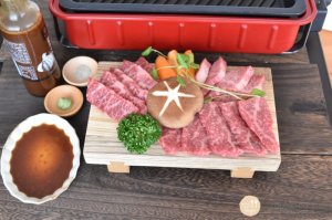 画像4: SUSHIGETA  スンカイ SML (4)