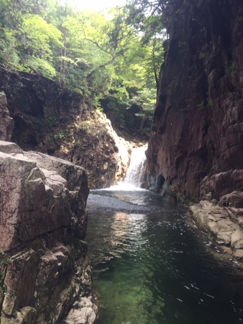 鈴鹿の山を想う