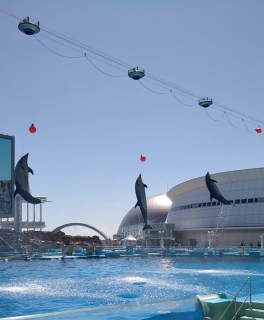 水族館