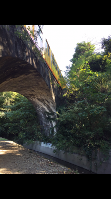 三岐鉄道北勢線とねじり橋